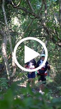 BIB:  <button type="button" onclick="openModal(28063711)" class="btn btn-primary btn-sm float-right" data-toggle="modal" data-target=".modal-high-quality">
                <i class="fa fa-download"></i> Download
                </button>